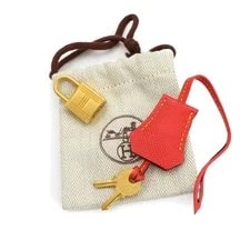 Hermes Birkin 25 SPO Electrique Pivoine 90326936 2