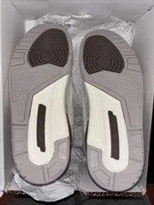 Air Jordan 3 Palomino 3
