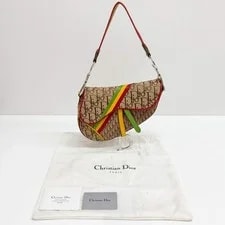 Dior Saddle Rasta Trotter 4