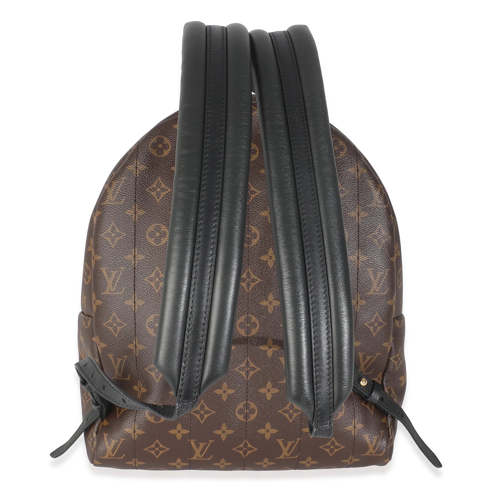 Louis Vuitton Palm Springs Mm 2
