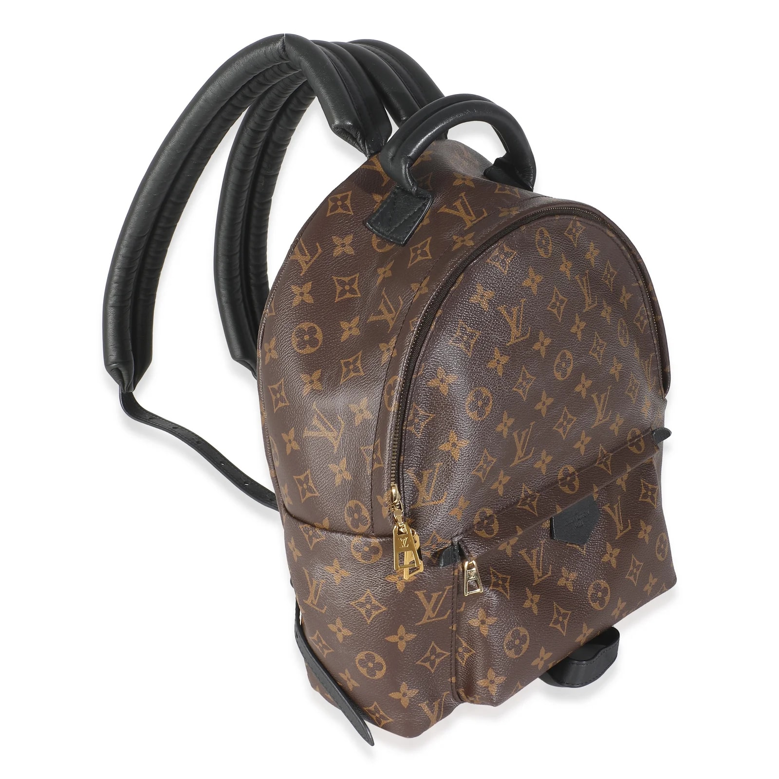 Louis Vuitton Palm Springs Mm 3