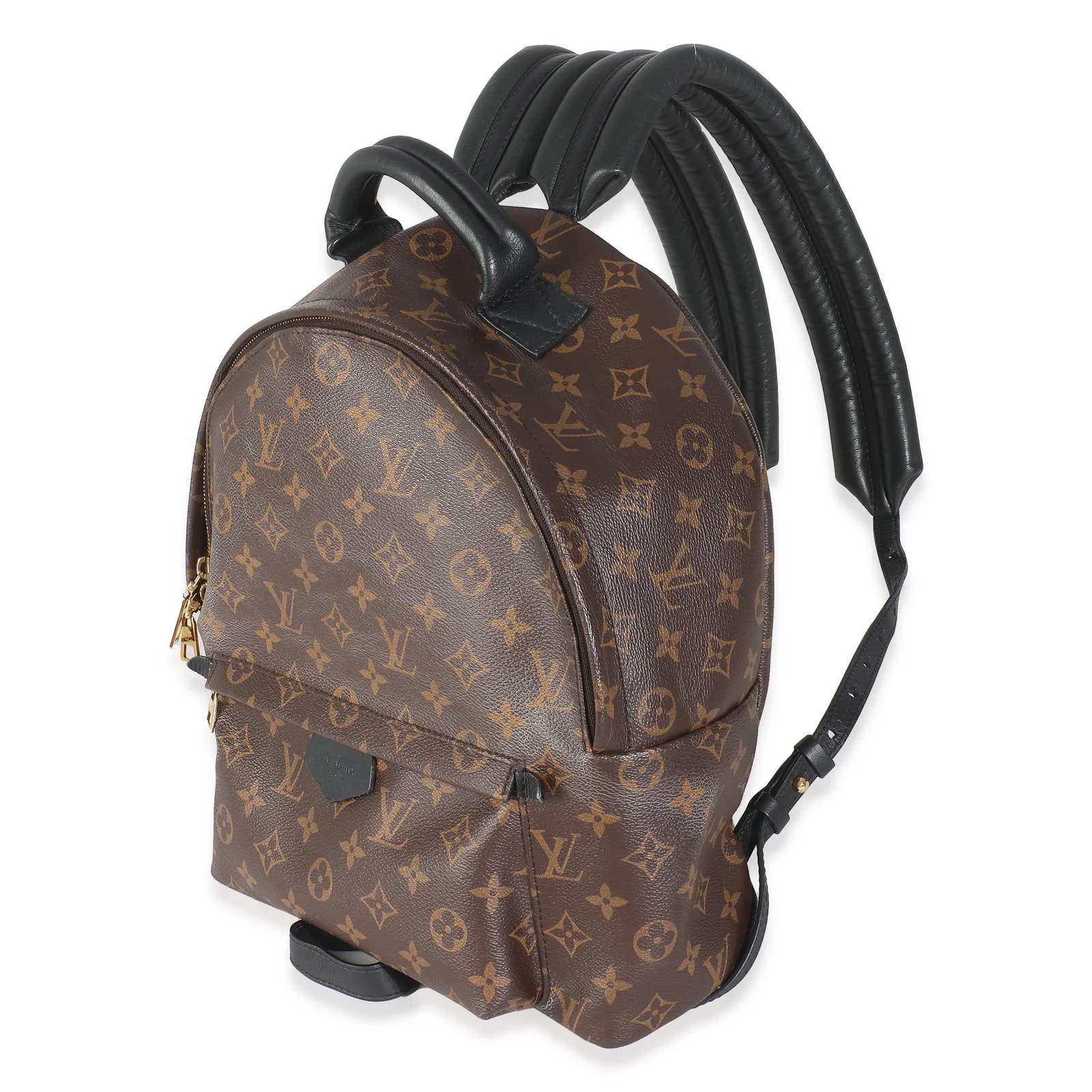 Louis Vuitton Palm Springs Mm 4
