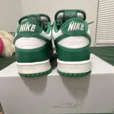 Nike Dunk Low Low Top Lace-Up Athletic 3