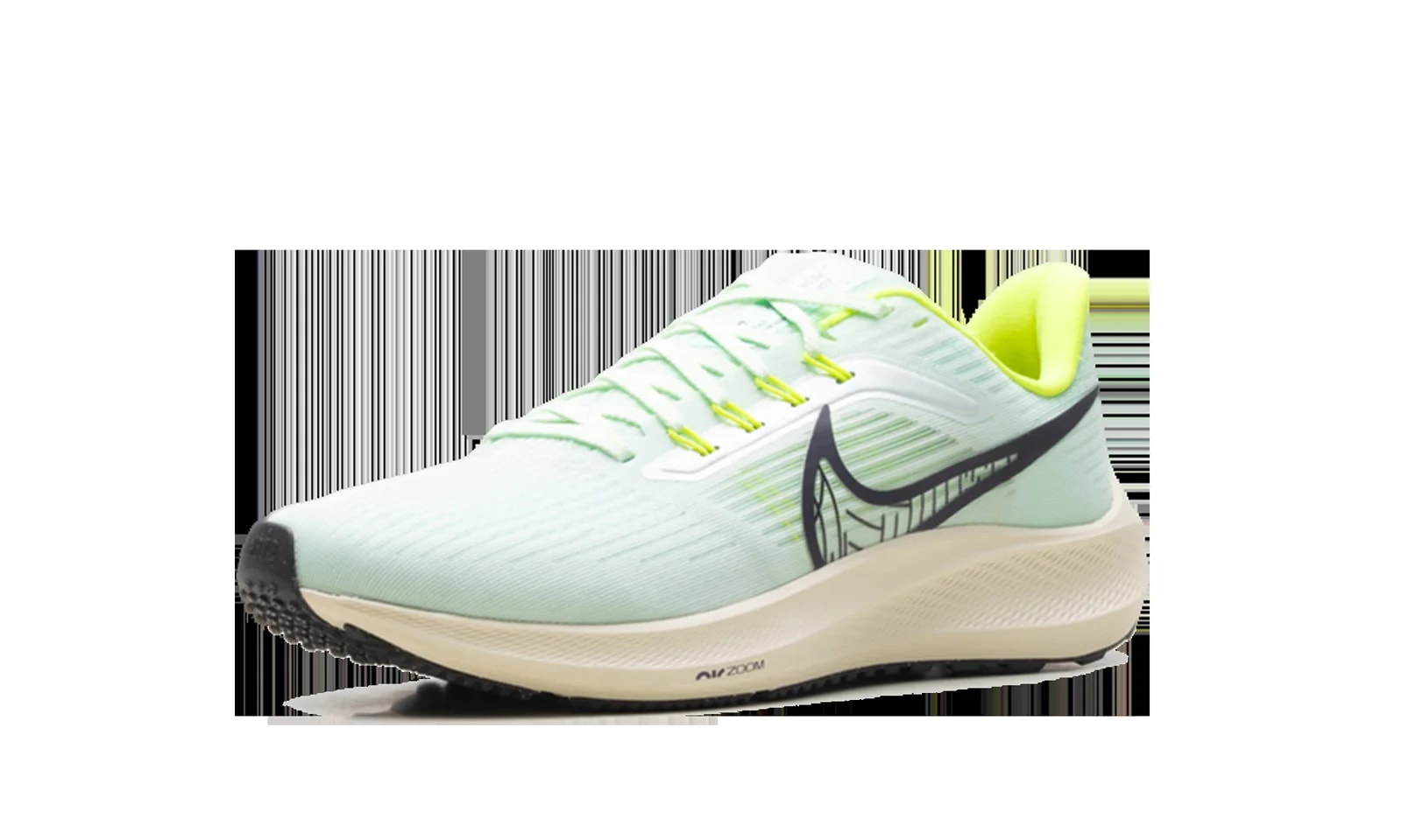 Air Zoom Pegasus 39 " DH4071-301 4