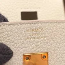 Hermes Birkin 25 Off-White Gold Hardware #RC009 4