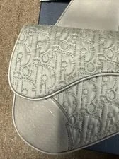 Dior X Island Saddle Limited and Numbered /88 4