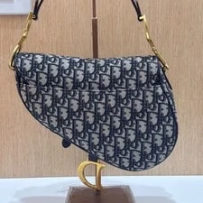 Dior Saddle Medium HW CD Clasp 2