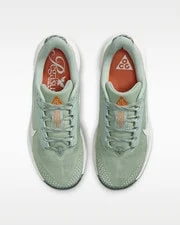 HV8116-310 Nike ACG Pegasus Trail Horizon Light () 4