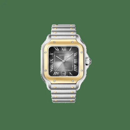 Cartier Santos Large Model 2