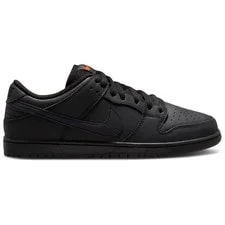 [FJ1674-001] -- Nike Sb Dunk Low Pro 2