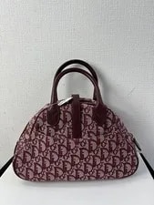 Dior Trotter Double Saddle 2