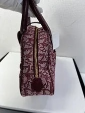 Dior Trotter Double Saddle 3