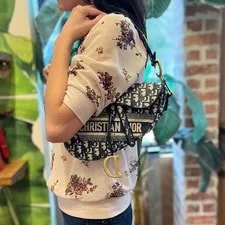 Christian Dior Embroidery 2