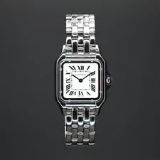 Cartier — Cartier Panthère de Stainless Steel WSPN0015 Unworn 2025 — Watch — resale