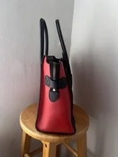 Authentic Celine Luggage Exotic Philo 3