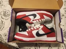 Nike SB Dunk Low J-Pack 2