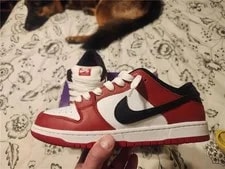 Nike SB Dunk Low J-Pack 3