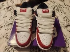 Nike SB Dunk Low J-Pack 4