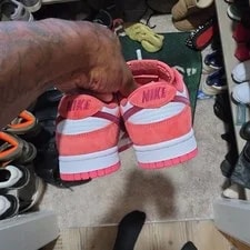 Nike Low Dunks 2