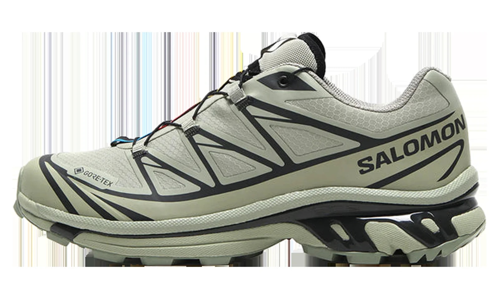 XT-6 Gore-Tex "Tea Peat" L47863800 3