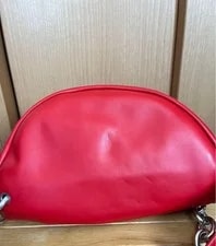 Bottega Veneta the Pouch From Japan 4
