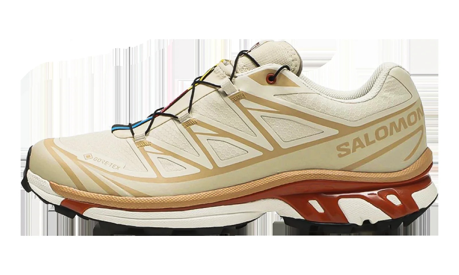 XT-6 Gore-Tex "Tea Peat" L47863800 4
