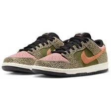 Nike SB Dunk Low Arts-Rec IH3211-200 3