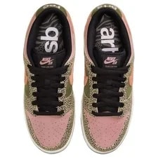 Nike SB Dunk Low Arts-Rec IH3211-200 4