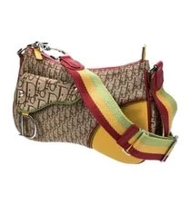 Dior Rasta Trotter Double Saddle 2