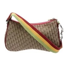 Dior Rasta Trotter Double Saddle 3