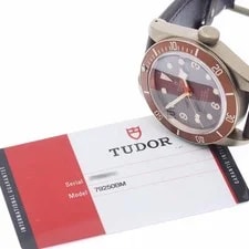 Tudor Heritage Black Bay Bronze 79250BM Brown Dial Automatic Watch_956092 2