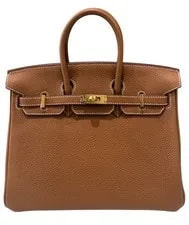 Hermes Birkin 25 Hardware 2