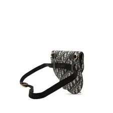 Dior Saddle Belt 2