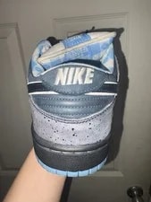 Nike SB Dunk Low Lobster Skateboarding Shoes US 10.5 Bands 2