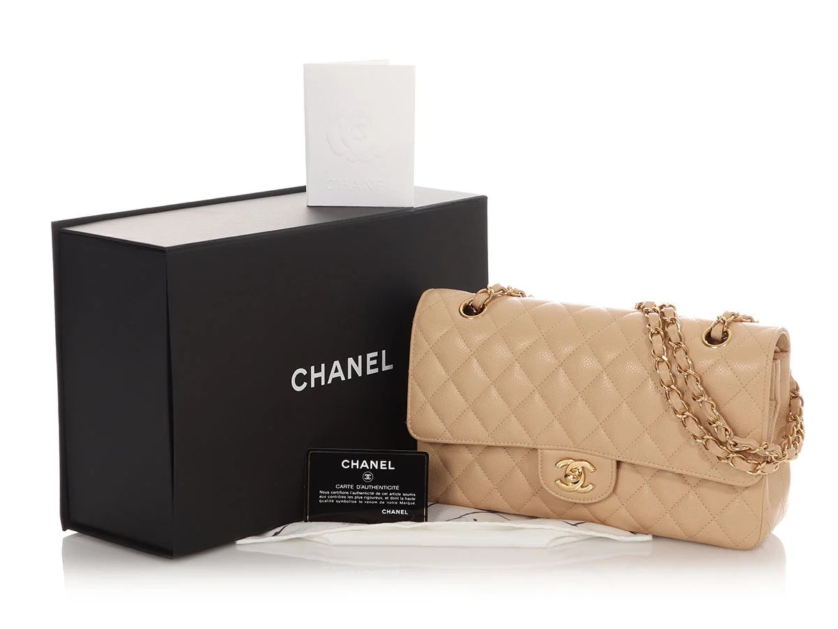 Chanel Medium/Large Claire Classic Double Flap 2