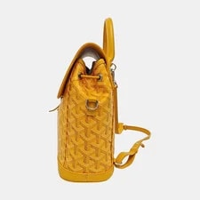 Goyard Alpin Monogram Removable Backpack #4BW2 3