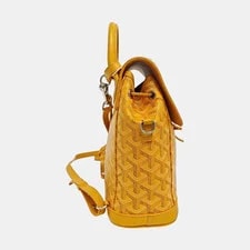 Goyard Alpin Monogram Removable Backpack #4BW2 4