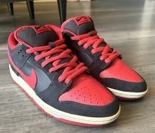 Nike SB Dunk Low Pro J Pack 304292-039 2