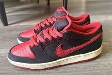 Nike SB Dunk Low Pro J Pack 304292-039 3
