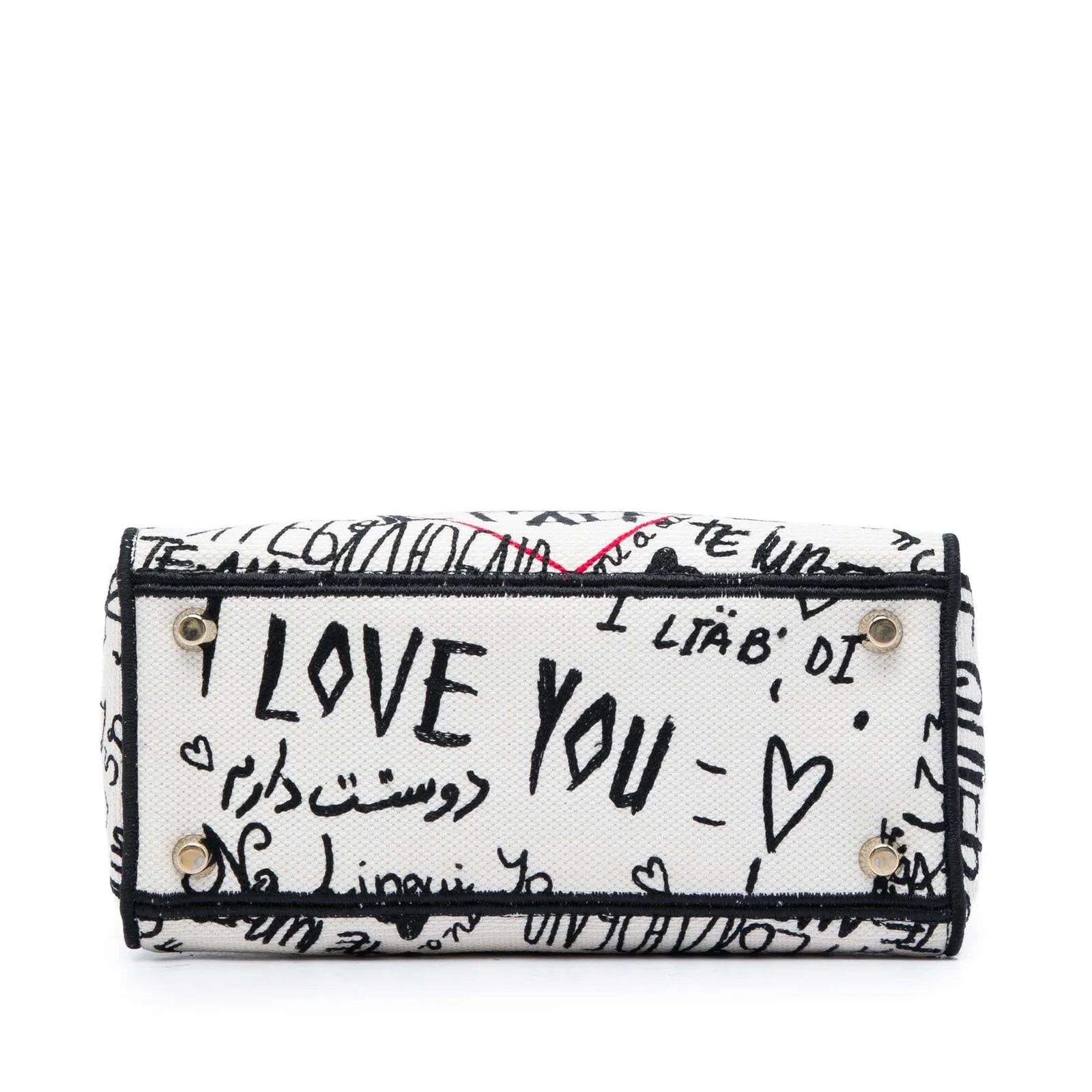 DiorAmour Medium Embroidered Graffiti Lady D Lite 3