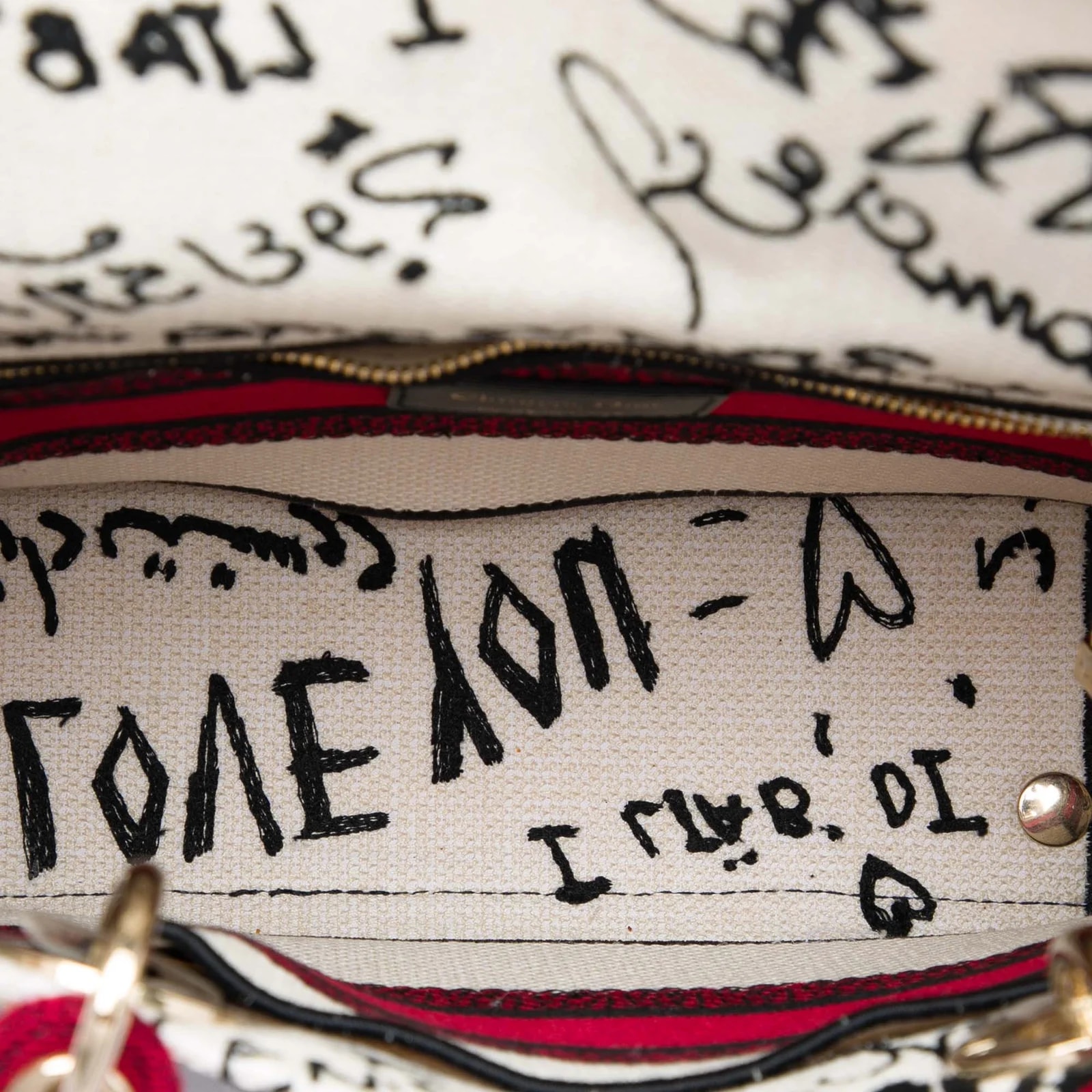 DiorAmour Medium Embroidered Graffiti Lady D Lite 4