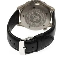 Omega Seamaster 300 2231.50 41mm Ti Black #C5839 2