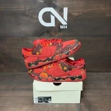 Nike SB — Nike SB Dunk Low the Wizard of Oz Field (Moderately Worn ) — Sneaker — resale