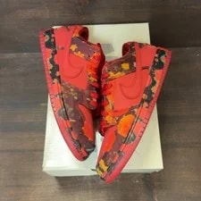 Nike SB Dunk Low the Wizard of Oz Field (Moderately Worn ) 2