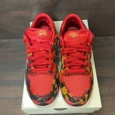 Nike SB Dunk Low the Wizard of Oz Field (Moderately Worn ) 3
