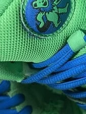 Nike SB Dunk Low X Grateful Dead US 7.5 CJ5378 300 NO BOX 3
