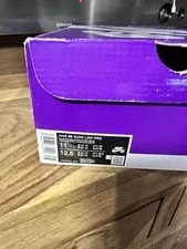 Nike Sb Dunk Low Pro Size 11 NEW IN BOX 2