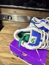 Nike Sb Dunk Low Pro Size 11 NEW IN BOX 4