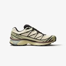 L49202200 Salomon XT-6 Gore-tex Aspargus Tea () 3