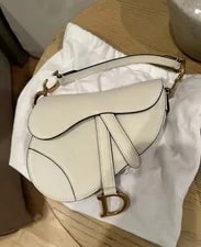 Dior Grained Saddle Mini 3